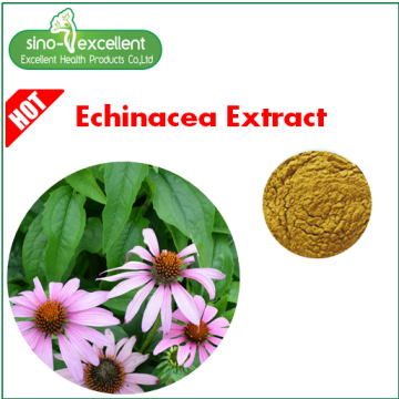 100% natürlicher Echinacea Extrakt